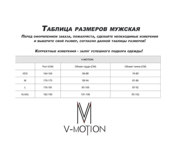 Термобельё V-MOTION Base мужской серебристый в Саратове