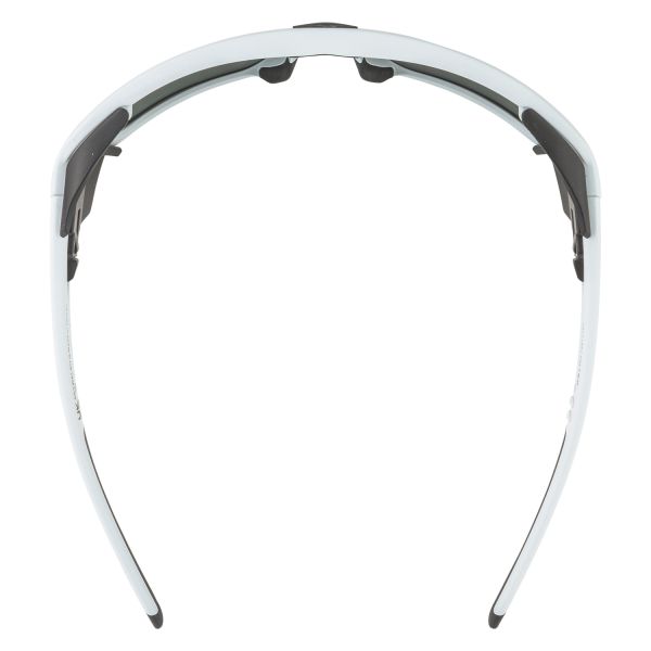 Купить очки alpina skywalsh q smoke-grey matt/green mirror cat.4 fogstop в Саратове