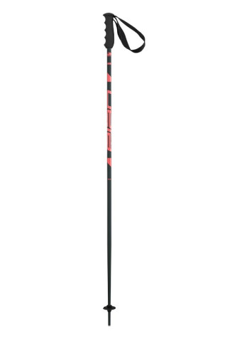 Палки г/л ELAN Speedrod W Coral 