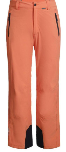 Брюки горнолыжные Icepeak 657038839IV 455 в Саратове