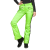 Брюки горнолыжные Sportalm Jump JF W 882811148 Lime в Саратове