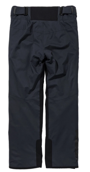 Брюки горнолыжные Phenix Blizzard в Саратове