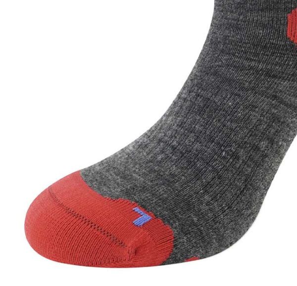 Купить Носки LENZ Skiing Kids Grey/Red/Blue в Саратове