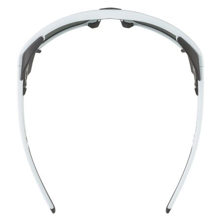 Купить Очки Alpina Skywalsh Q Smoke-Grey Matt/Green Mirror Cat.4 Fogstop в Саратове