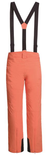 Брюки горнолыжные Icepeak 657038839IV 455 в Саратове