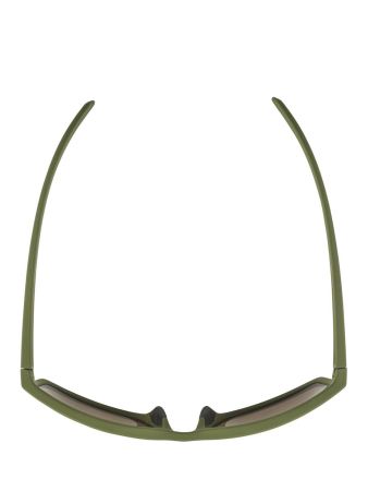 Купить Очки Alpina Nacan I Olive Matt/Bronce Mirror Cat.3 в Саратове