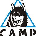 Кошки CAMP в Саратове