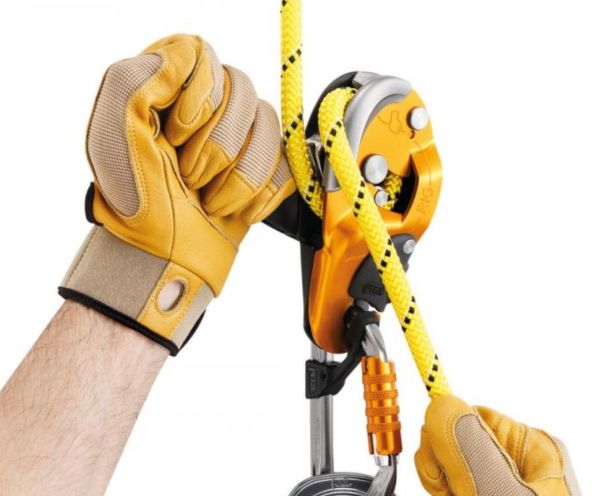  Спусковое устройство RIG Petzl в Саратове  