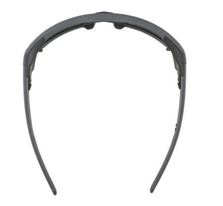 Купить Очки Alpina Skywalsh Q Midnight-Grey Matt/Blue Mirror Cat.4 Fogstop в Саратове