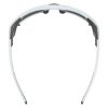 Купить Очки Alpina Skywalsh Q Smoke-Grey Matt/Green Mirror Cat.4 Fogstop в Саратове